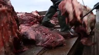 Охота на китов. "Китобои"