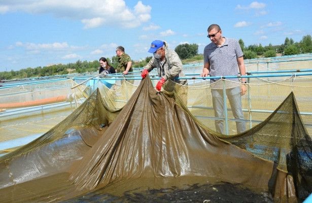 «Росводоканал Омск» организовал на Иртыше «выпускной» для мальков осетра