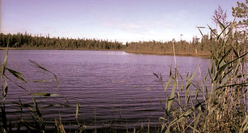 Озеро Абаткуль Челябинская область