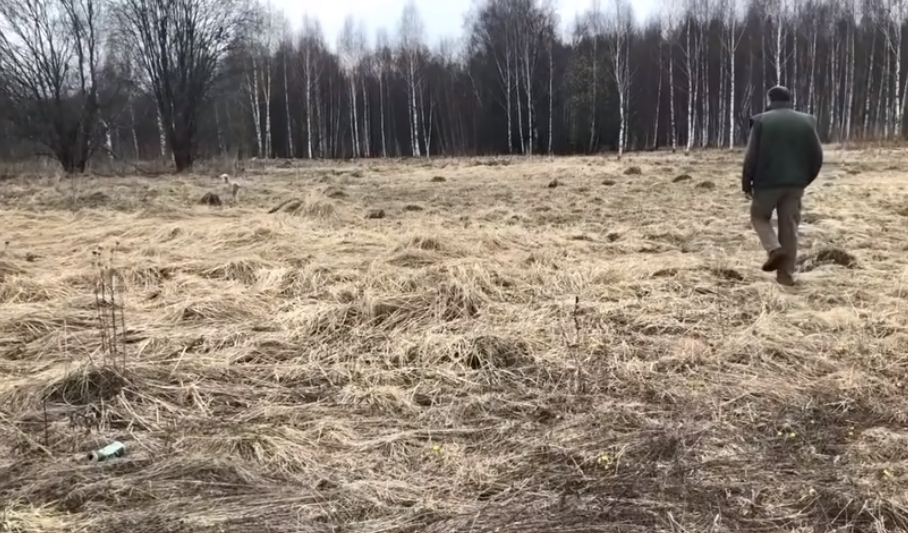  Покупка дачного участка от А до Я
