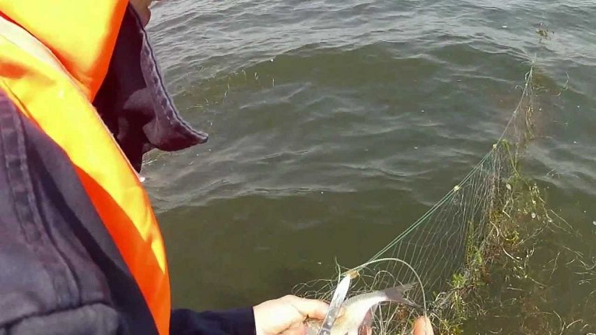 45 сетей за один рейд