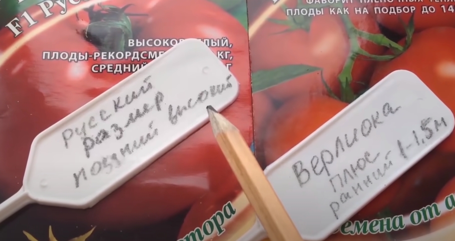 семь основных составляющих успеха выращивания рассады семь основных составляющих успеха выращивания рассады