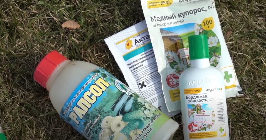 Ранневесенняя обработка сада или огорода от вредителей Ранневесенняя обработка сада или огорода от вредителей