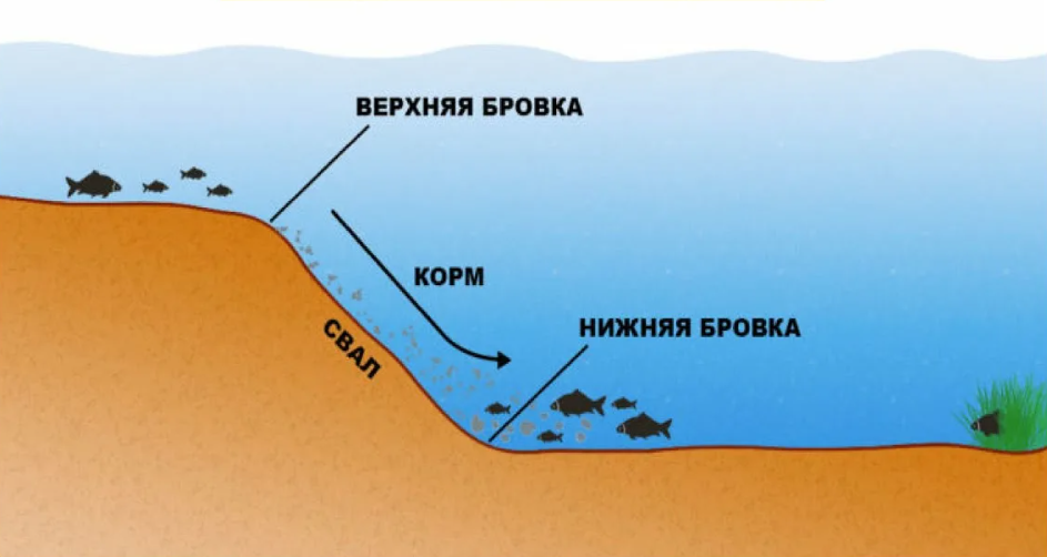 Как найти перспективное место рыбалки на фидер?